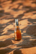 Beach Access Beer