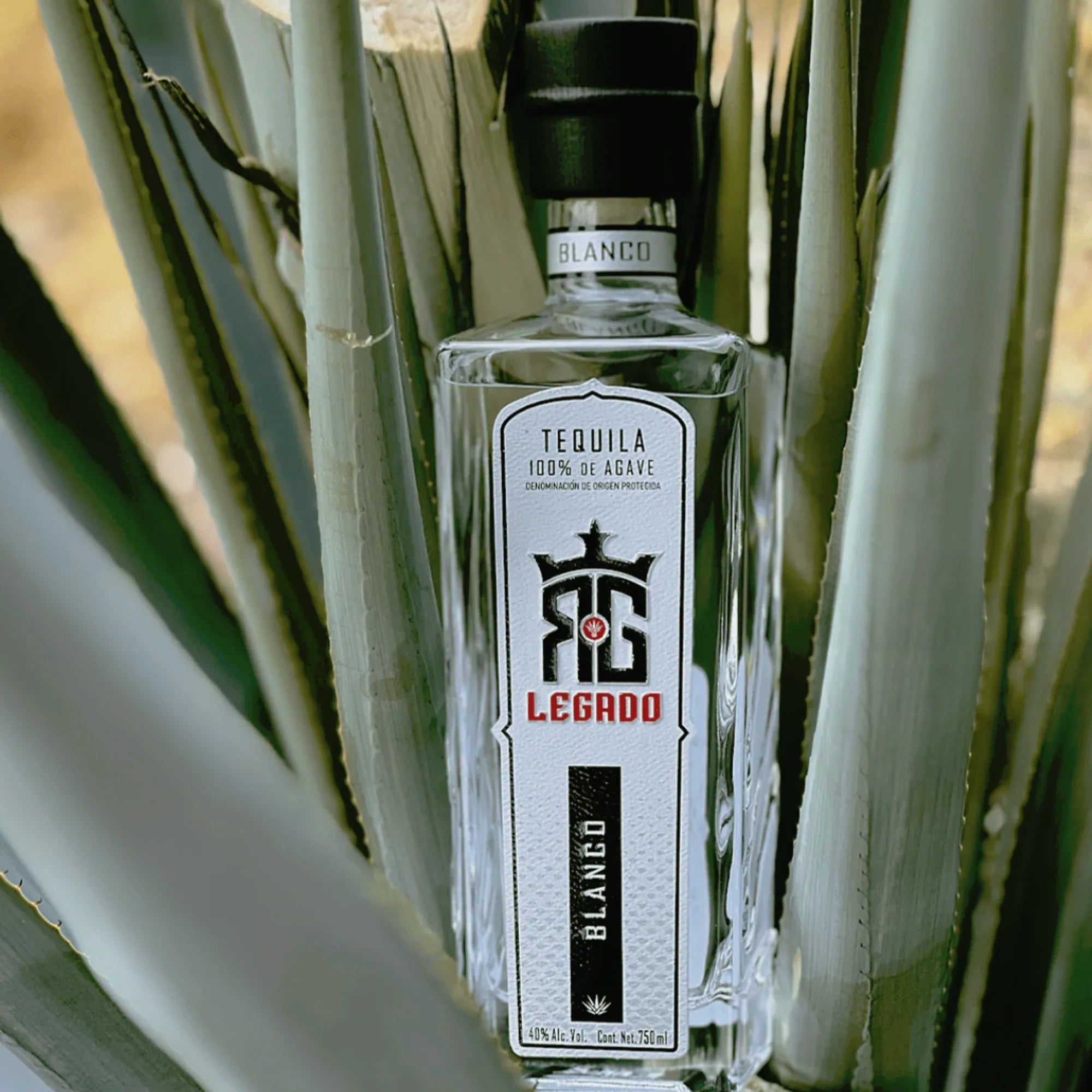 Legado Blanco Tequila